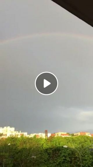 The rainbow