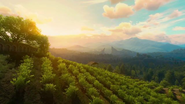 Toussaint dreams about home live wallpaper, witcher 3, witcher 3 wild hunt, toussaint, soundtrack, music, live wallpaper, landscape, blood and wine, witcher, nature, mountains, nature travel.