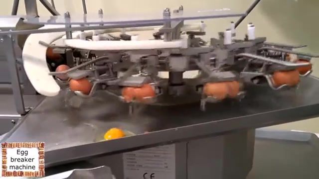 Egg breaker machine, food processing, processing, machines, food processing machine, egg processing, food, amazing food processing, factory, amazing, inventions, satisfying, most satisfying, equipment, factory machines, another level, amazing machines, machine, egg, technology, satisfying machines, tech, science technology.