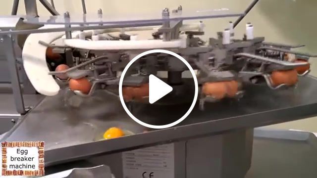 Egg breaker machine, food processing, processing, machines, food processing machine, egg processing, food, amazing food processing, factory, amazing, inventions, satisfying, most satisfying, equipment, factory machines, another level, amazing machines, machine, egg, technology, satisfying machines, tech, science technology. #0