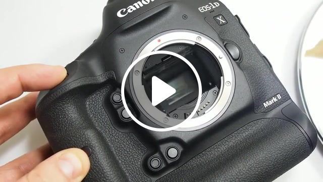 Canon eos 1d x mark ii 14 fps, canon, eos, 1dx mark ii, 1d x mark ii, 14fps, continuous, shooting, mirror, shutter, sound, mark ii, fps, shutter speed, shutter sound, dslr, canon eos, canon eos 1d, canon eos 1dx mark ii, science technology. #0