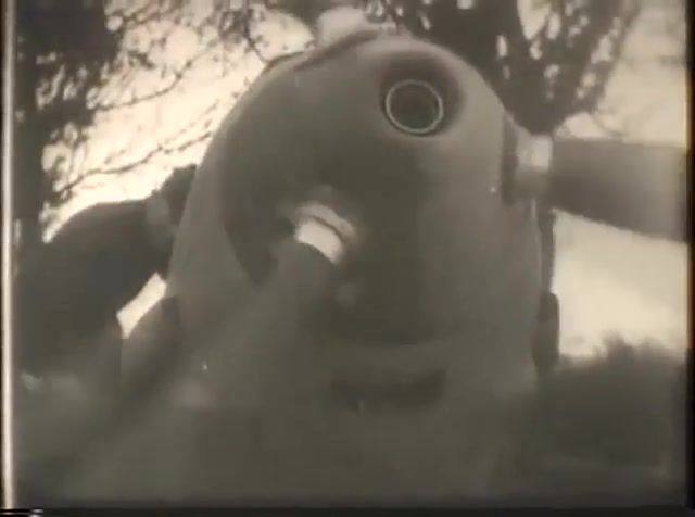 Luftwaffe in action archive footage, german, luftwaffe, ww2, in action, aircraft, air alarm, junkers ju 87, dive bomber, messerschmitt bf 109, fighter aircraft, squadron, nazi germany, archive footage, music, rammstein, deutschland, science technology.