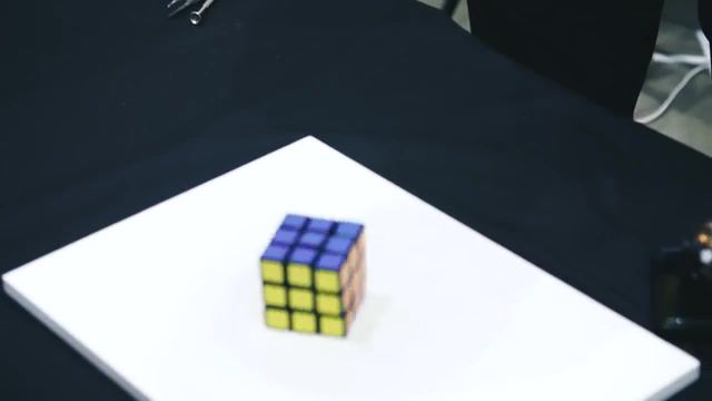 The maniac is solving itself - Video & GIFs | rubiks cube,rubik's cube,rubix cube,solve,solution,speed,robot,self solving rubik's cube,how to make a self solving rubik's cube,rubik's cube robot,maker faire,takashi,tested,testedcom,adam savage,magic cube,puzzle cube,how to solve a rubiks cube,lumpy space princess,adventure time,lumpy princess,really,omg,random reactions,the big lebowski,jeff bridges,steve buscemi,ethan coen,joel coen,big lebowski,reaction,your opinion,your opinion man,game grumps,game grumps fanimation,game grumps fool,bramble ramble,whycan notigetontharope,jontron and egoraptor,gamegrumps,gamegrumps fanimated,gamegrumps fanimation,fuuuck,stupid,ing idiots,cartoon reaction,friends,nyc,friendship,tv series,joey tribbiani,joey,matt leblanc,lying,lie,stoplying,reactioin,the office,dwight schrute,michael scott,peter griffin,family guy,smartest thing,i've ever heard,smartest,game of thrones,you know nothing jon snow,jon snow,ygritte,winter is coming,jon snow knows nothing,you know nothing,deadpool,ryan reynolds,marvel,exactly,m bison,yes,street fighter,dumbest thing i've ever heard in my life,mabel,bodyswap,dipper,cannot,unsee,unhear,cannot unsee,stitch,disney,walt disney,chris sanders,opinion,ha ha ha,she's a mania