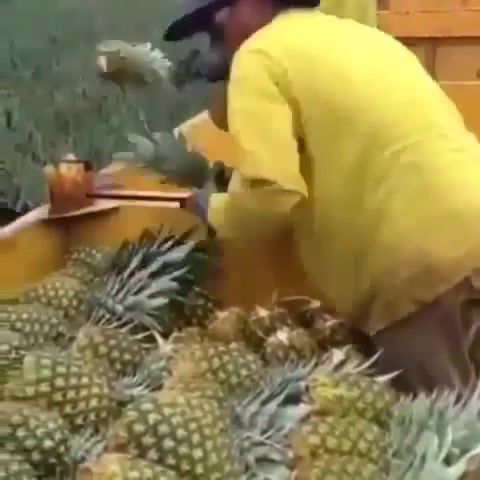 Another pineapple in, Nature Travel