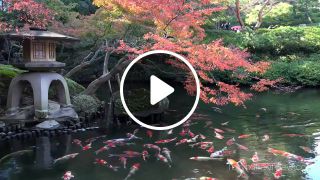 Nature japan