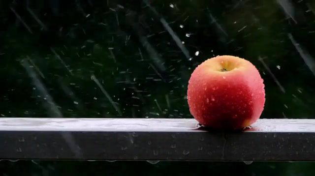 Apple, nature travel.