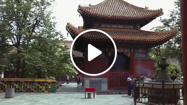 Epic china, lytchee, lytcheetv, china, china trip, china tour, china hd, china gopro, china documentary, china zoo, ancient china, china film, imperial china, modern china. #0