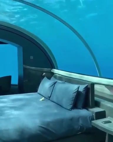 Under the seaaaa - Video & GIFs | under the sea,the little mermaid,underwater hotelroom,nature travel