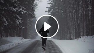 Winter walk through the woods