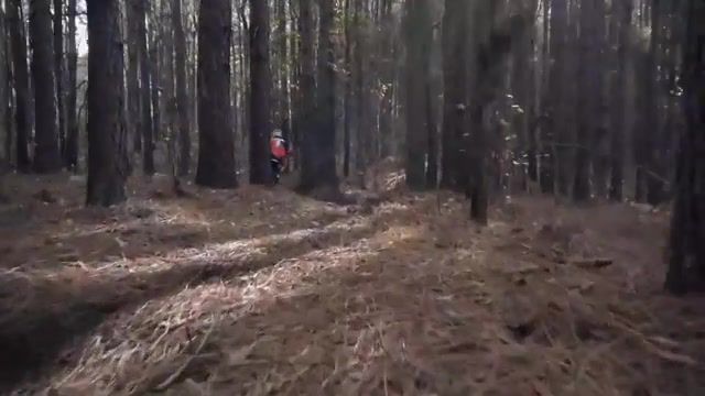 Enduro motorcycle ride in forest, Musik, Forest, Enduro, Motorcycle, Moto, Life, Sports