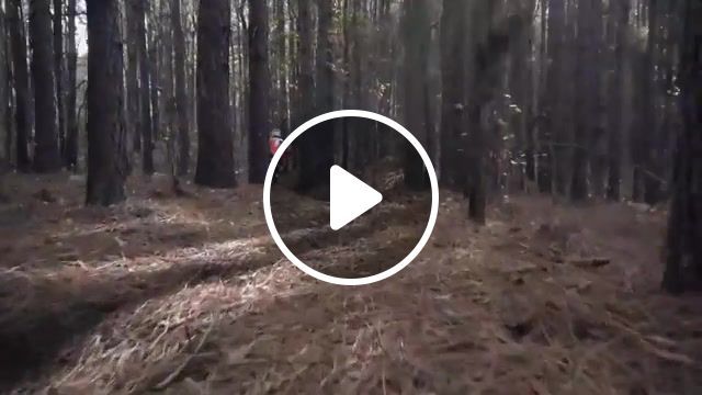 Enduro motorcycle ride in forest, musik, forest, enduro, motorcycle, moto, life, sports. #0