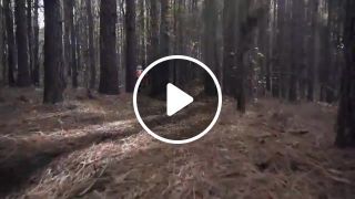Enduro motorcycle ride in forest