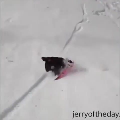 Snowboard tomahawk, Jerry Of The Day, Jerry Of The Day Skiing Compilation, Jerry Of The Day Intagram, Best Skiing Fails, Best Snowboarding Fails, Ski Fail, Snowboard Fail, Fails, Winter Fails, Best Of Winter Fails, Sports