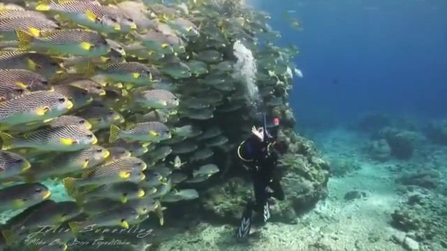 Underwater selfie, nature travel.