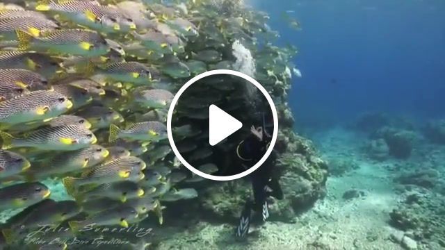 Underwater selfie, nature travel. #0