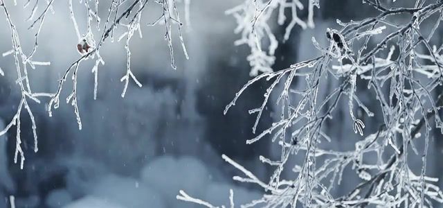 Winter, beautiful, nature, cold, snow, winter, color grading, slow motion, nature travel.