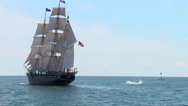 173 Year Old Whaling Ship Returns to Save Whales National Geographic