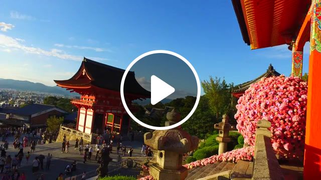 Incredibile beauty of kyoto 4k, kyoto, japan, 4k, travel, 4k resolution, follow me, chill, music, besomorph, coopex, redemption, like, nature travel. #1