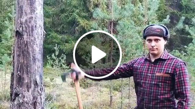 Jeorje, forest, izba, house, axe, rashka, nature travel. #0