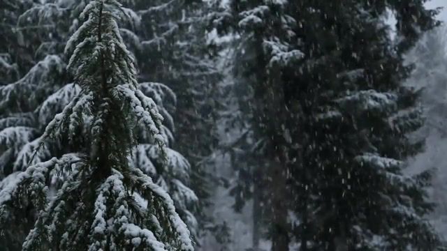 Let it snow - Video & GIFs | let it snow,frank sinatra,snow,weather,falling snow,winter,christmas,new year,new,nature travel