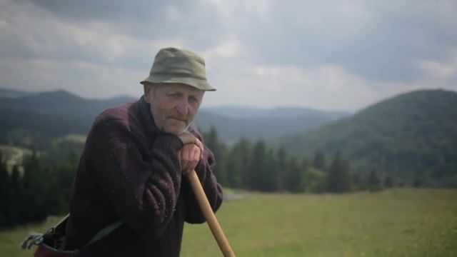 Some Feeling - Video & GIFs | wild,romania,horses,nature,wilderness,forest,myst,misty,traditional,ambient,portrait,some feeling,mild orange,nature travel