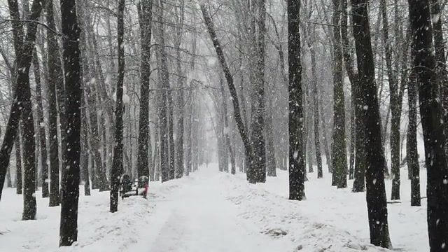Spring, Belgorod, Spring, Blizzard, Snow, Obloko, Nature Travel