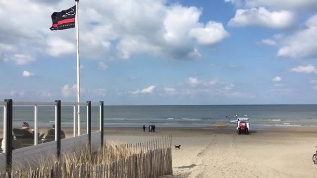 Windy town, chris rea windy town, live, cinemagraph, north sea, zandvoort, nature travel.