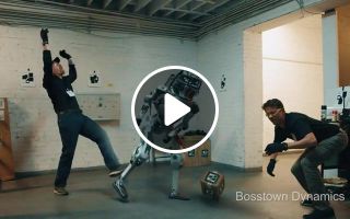 Boston Dynamics. It is time to stop