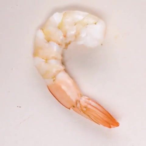 How to cook shrimps, luce bert ray viking etienne lorin c'est bon l'accord'eon, shrimp, cooking, kitchen, perfect, how to, tips, tricks, diy, life hacks, food kitchen.