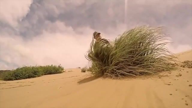 SAND RACING - Video & GIFs | alphaville,forever young,remix,summer,travel,travel vlog,people are awesome,melbourne bounce,bounce,melbourne,msolo,banger,music,chill,vibes,dance music,edm,electronic music,remix songs,80's remix,sports