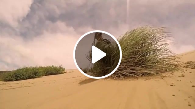 Sand racing, alphaville, forever young, remix, summer, travel, travel vlog, people are awesome, melbourne bounce, bounce, melbourne, msolo, banger, music, chill, vibes, dance music, edm, electronic music, remix songs, 80's remix, sports. #0