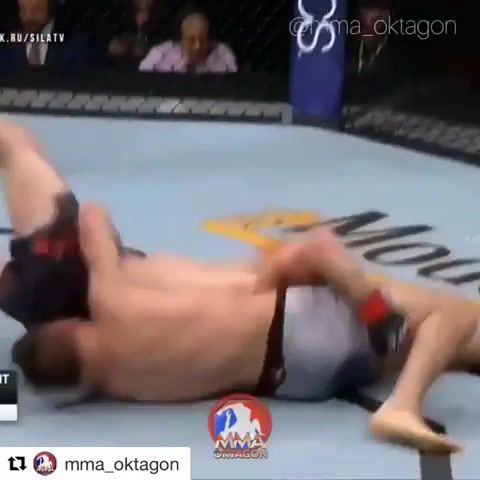 The fighter knocked himself out, Ufc, Knockout, Fail, Sports