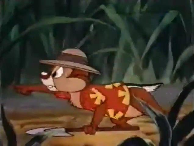 Quality children's vhs, childhood, music, cartoon, rescue, chip and dale, old, tape, vhs, art, art design.