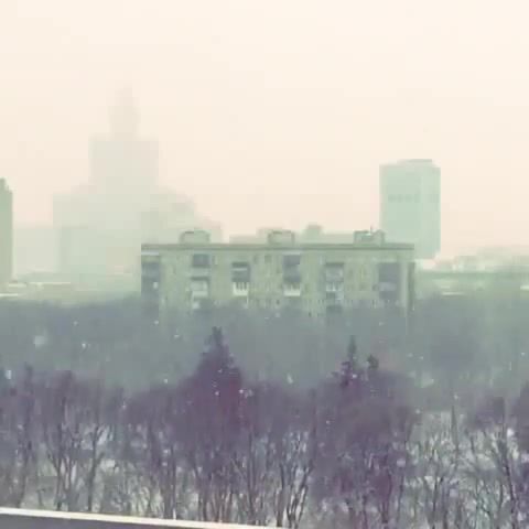 First heavy snowfall of winter in Moscow, Climate In Moscow, Rain With Snow Here In Moscow, Snow, Moscow, Slow, Nature Travel