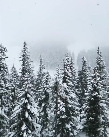 I wanna see more snow - Video & GIFs | nature travel