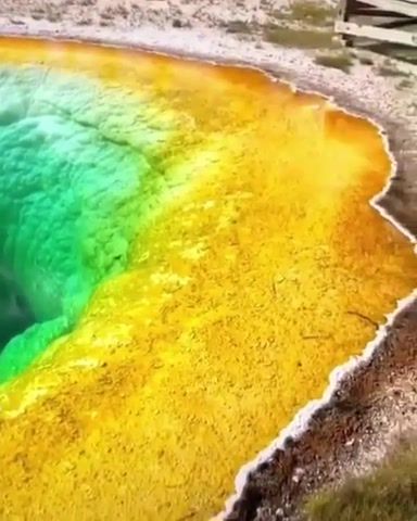 Yellowstone's geysers, Yellowstone's, Geysers, Geyser, Nature, Color Of Nature, Colors, Travel, Gotravel, Planet Is Beautiful, Beautiful