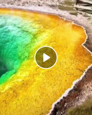 Yellowstone's geysers