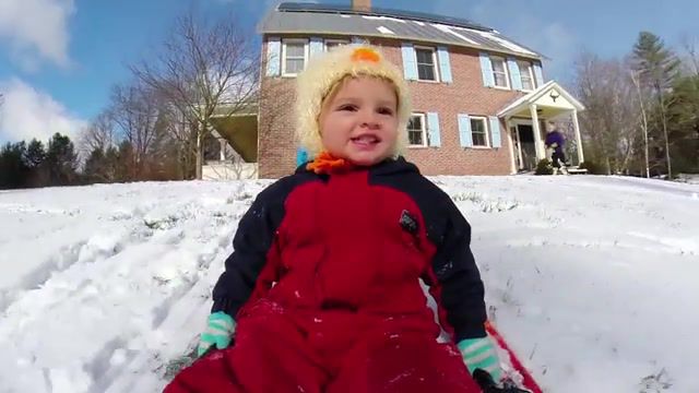 First Snow Experience - Video & GIFs | gopro,hero 2,hero 3,camera,hd cam,hd,rad,snow,sledding,sled,horse,pig,snow day,winter,vermont,nature travel