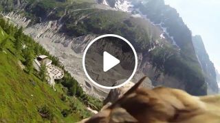 Flying eagle point of view
