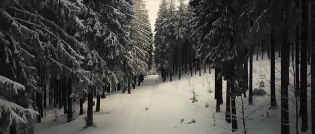 GERMAN WINTER, German Winter, Music, Nature, Snow, Nature Travel