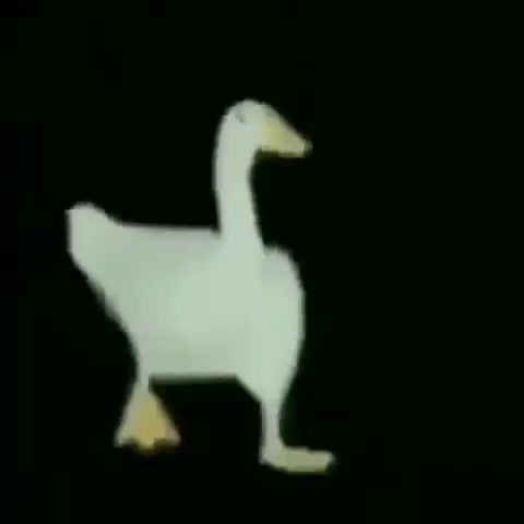 Goose, dance, duck, eminem, goose, walking, walk.