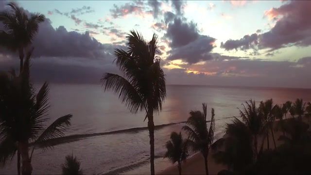 Hawaii, Hawaii, Sawyer Hartman, Trace Low, Nature Travel