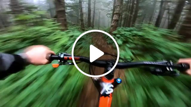 Fast and furious, Speed, Forest, Cross, Bicycle, Adrenaline, Sport, Sports
