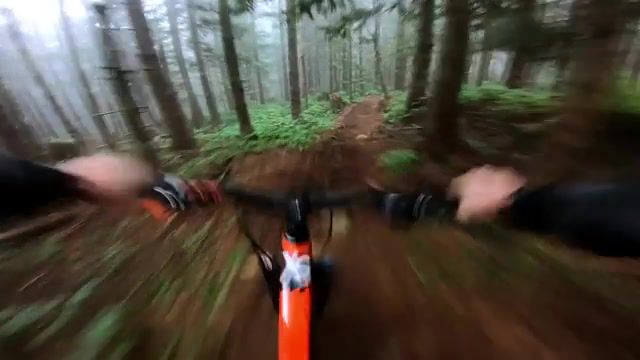 Foggy Forest MTB, Gopro, Hero4, Hero5, Hero Camera, Hd Camera, Stoked, Rad, Hd, Best, Go Pro, Cam, Epic, Hero4 Session, Hero5 Session, Session, Action, Beautiful, Crazy, High Definition, High Def, Be A Hero, Beahero, Hero Five, Karma, Gpro, Hero Six, Hero6, Hero7, Hero, Seven, Hero 7, Bike, Biking, Mountian, Dirt, Downhill, Shred, Sports