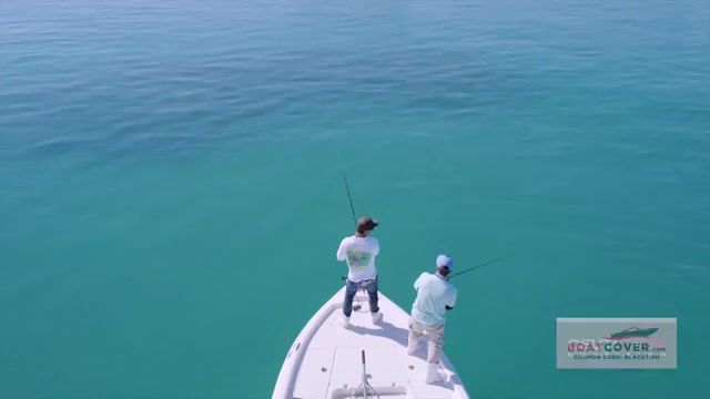 Happy Fishing, The World's Oceans, Sybeast At Uch Va'x Happy Fishing Radio Edit, Sight Fishing For Giant Black Drums 4k, Personal Best, Pb, Sight Fishing, Saltwater Fishing, Blacktiph, Sport, Black Drum, Fish, Offshore, Florida, Epic, Drone, Ocean, Saltwater, Drum, Black, Giant, Fishing, Sight, Sports