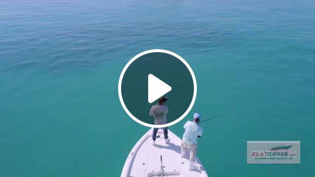 Happy Fishing, The World's Oceans, Sybeast At Uch Va'x Happy Fishing Radio Edit, Sight Fishing For Giant Black Drums 4k, Personal Best, Pb, Sight Fishing, Saltwater Fishing, Blacktiph, Sport, Black Drum, Fish, Offshore, Florida, Epic, Drone, Ocean, Saltwater, Drum, Black, Giant, Fishing, Sight, Sports