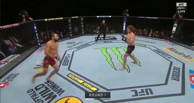Lights off record, what just happened, what happened, dramatic reaction, dramatic, carl, cry, oh no, jorge masvidal, ben askren, ko, ufc, ufc 239, las vegas, world record ko, knockout, sports.