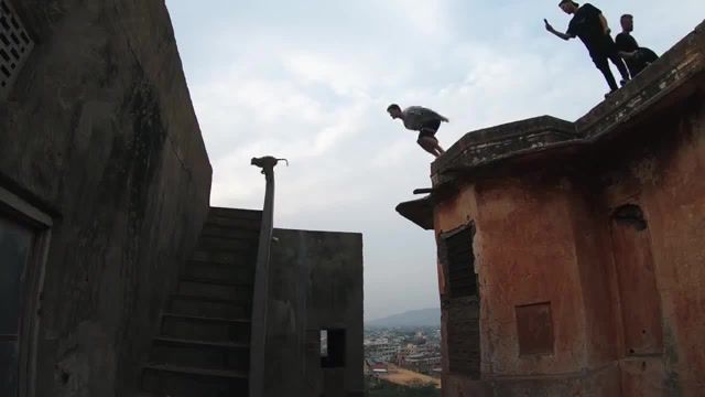 Parkour with monkeys Storror