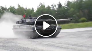 Leopard 26