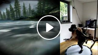 VR swimming Skyrim Silvercordvr treadmill